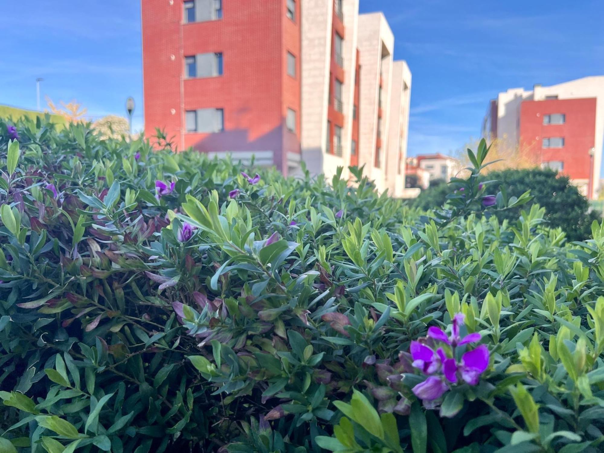 Apartamento Olmeca Santander Exterior photo
